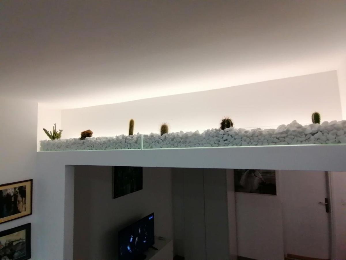 Apartman Dunja S ベオグラード エクステリア 写真