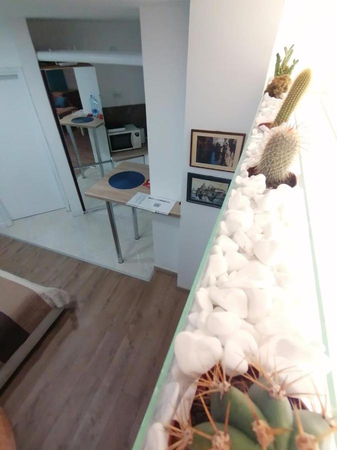 Apartman Dunja S ベオグラード エクステリア 写真